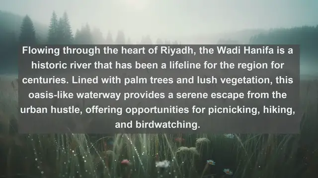 Video thumbnail for Unveiling Natural Wonders: Top 10 Famous Rivers in Saudi Arabia