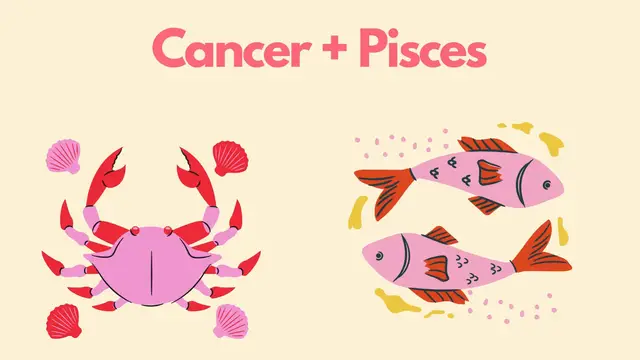 Video thumbnail for 5 Most Compatible Zodiac Signs