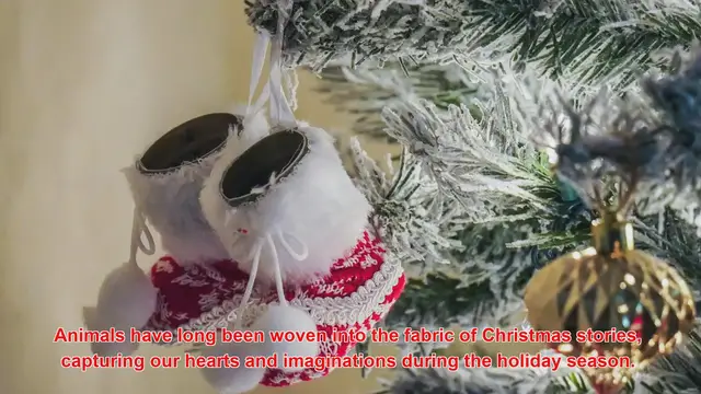 Video thumbnail for Why Do Animals Play A Significant Role In Some Christmas Stories?