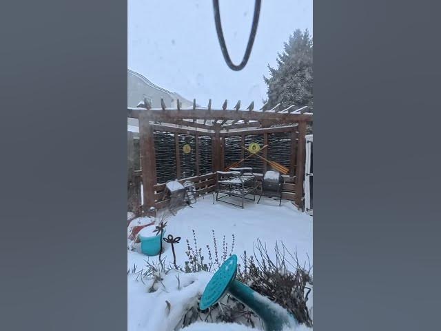 Video thumbnail for Snow Jan 25 2025 timelapse pergola view 1