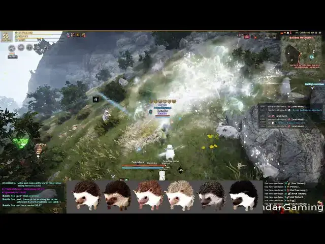 Video thumbnail for Is the Hedgehog pet worth? Prolly. Incendar reports you decide! Black Desert Online BDO