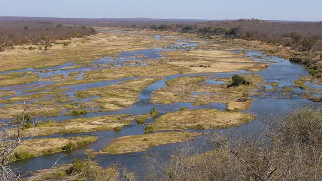 Video thumbnail for Olifants Fluss und N'wamanzi | Kruger Nationalpark Südafrika