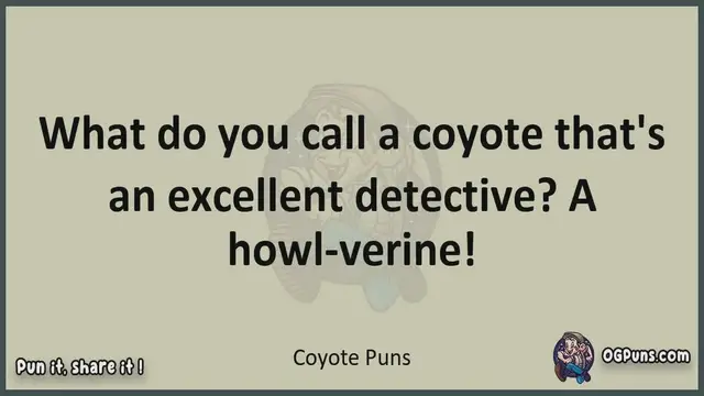 Video thumbnail for Coyote - Jokes, Puns, Wordplays, and Laughter