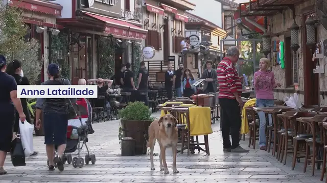Video thumbnail for Blib : Festival de Bières Artisanales Bordeaux 2023