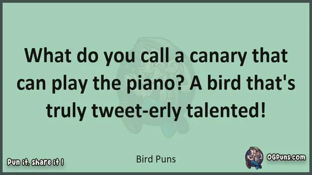 Video thumbnail for Bird - Jokes, Puns, Wordplays, and Laughter
