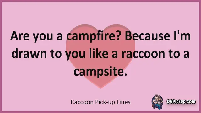 Video thumbnail for Raccoon - Pickup-Lines & Rizz for Him & for Her