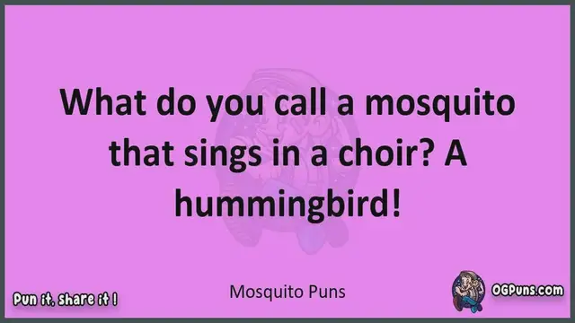 Video thumbnail for Mosquito - Jokes, Puns, Wordplays, and Laughter