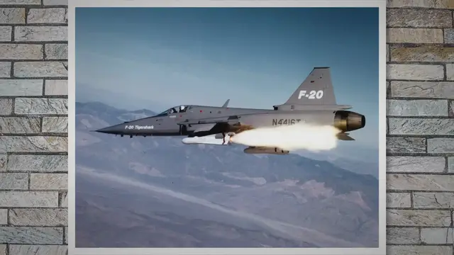 Video thumbnail for Northrop F-20 – The Tigershark That Went Extinct
