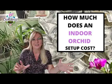 'Video thumbnail for Detailed Guide: What You Need To Setup Your Indoor Orchid Space'