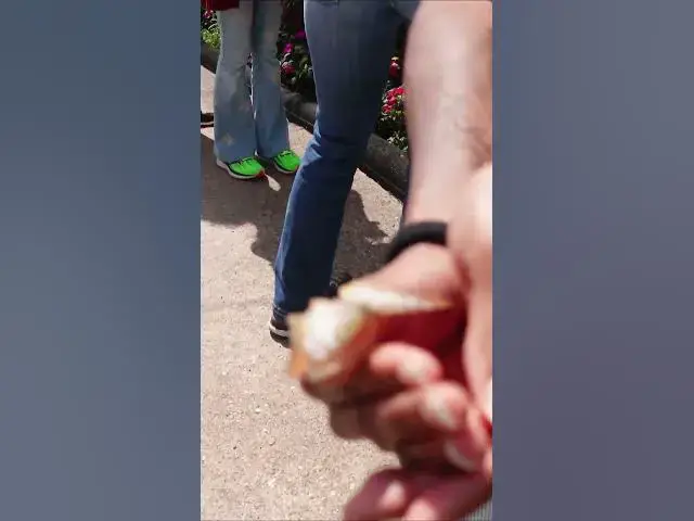 Video thumbnail for CATCHING BUTTERFLIES AT #disneyworld  EPCOT #flowerandgardenfestival by @motherhoodandhomemaking