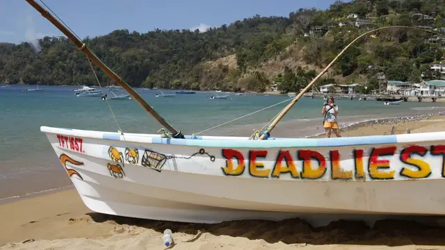 Video thumbnail for Charlotteville und Scarborough | Tobago