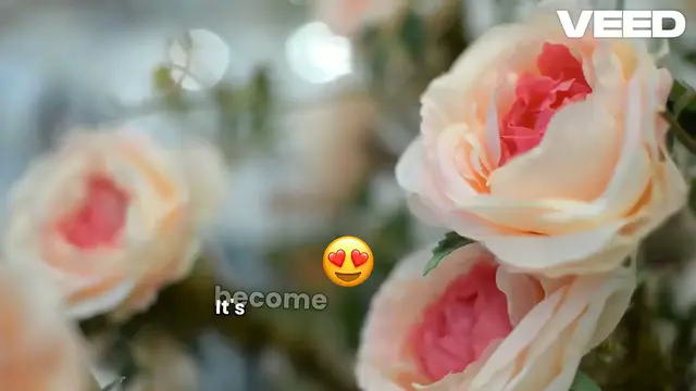 Video thumbnail for The Dark Truth About Valentine's Day