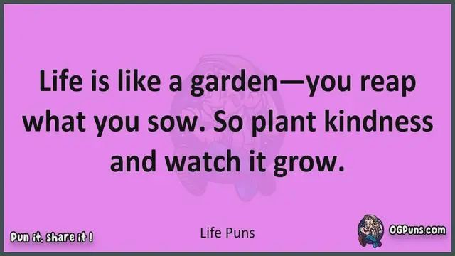 Video thumbnail for Life - Jokes, Puns, Wordplays, and Laughter