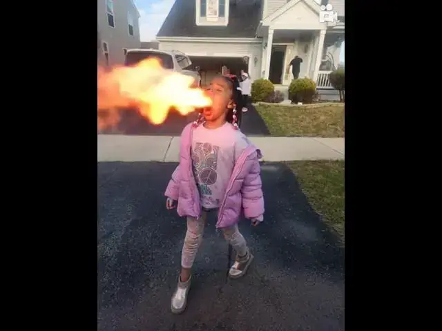 Video thumbnail for let's burn it all