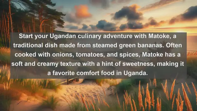 Video thumbnail for Taste of Uganda: Top 10 Mouthwatering Ugandan Dishes You Need to Try!