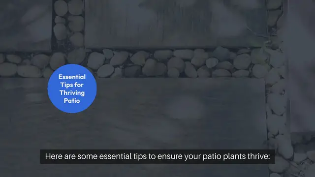 Video thumbnail for Tips for Watering Patio Plants