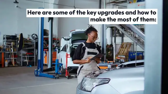 Video thumbnail for Stray Cat Upgrades And Power-ups