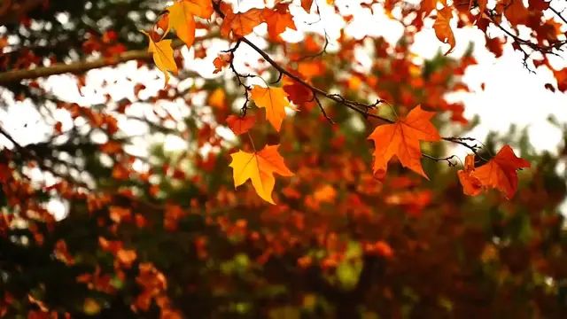 Video thumbnail for Discover 5 breathtaking USA nature spots #usa #discover #Breathtaking #nature #spots