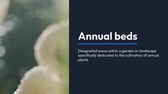 Video thumbnail for Annual Beds