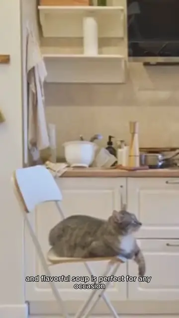 Video thumbnail for cream of onion soup recipe