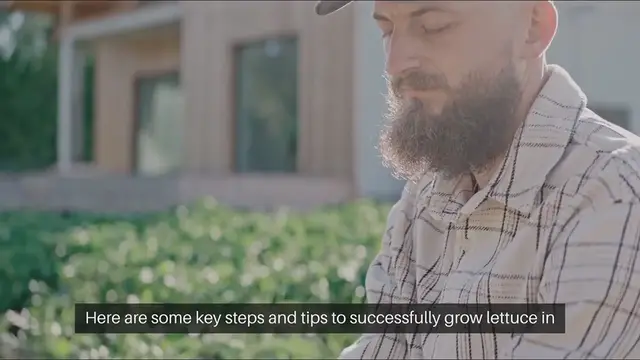 Video thumbnail for How to Grow Lettuce in Containers