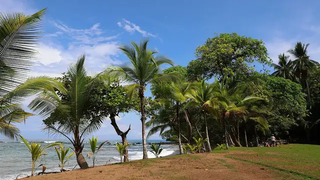 Video thumbnail for Nationalpark Corcovado | Costa Rica