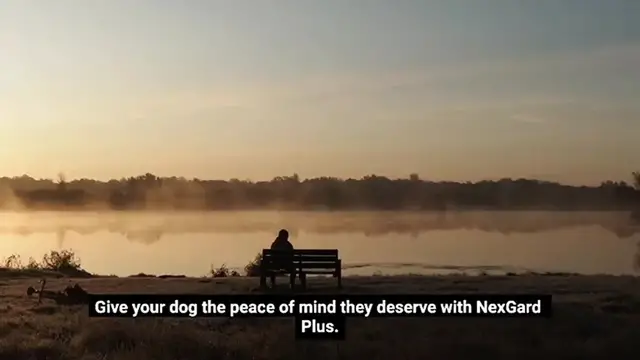Video thumbnail for nexgard plus for dogs