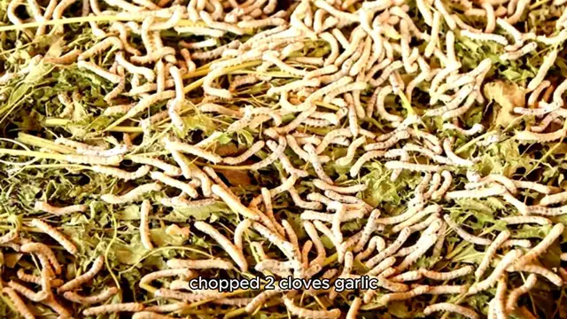 Video thumbnail for Pea Soup Recipe