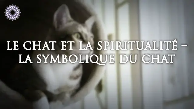Video thumbnail for 🐱 LE CHAT ET LA SPIRUTUALITÉ - LA SYMBOLIQUE DU CHAT