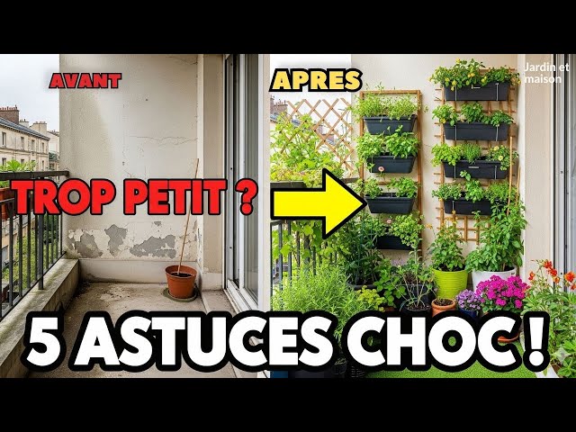 Video thumbnail for Petit Jardin, GRANDES Récoltes : 5 Astuces d'Expert