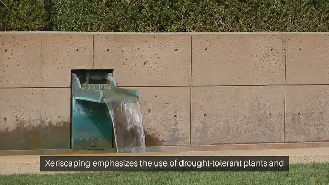 Video thumbnail for How To Create A Xeriscape Garden