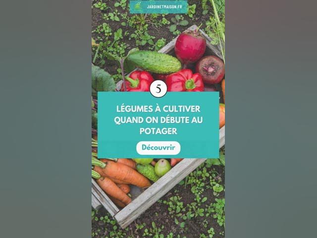 Video thumbnail for 5 légumes à cultiver quand on débute au potager