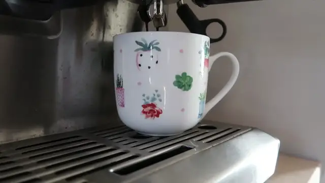 Video thumbnail for 37.What I Eat in a Day on a HIGH ANIMAL FOOD DIET (1080p 30fps)