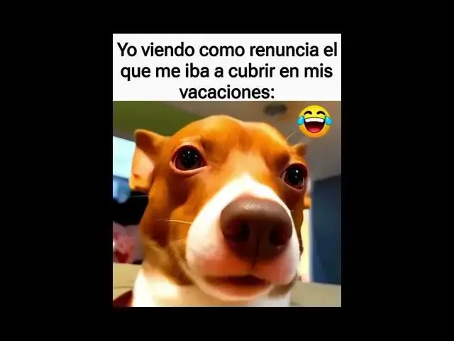 Video thumbnail for #pendejadas #memes