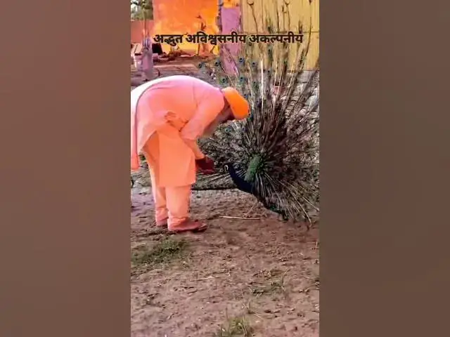 Video thumbnail for गुरूजी की लीला पक्षी भी जानते#happy_lokgeet #viral #shortvideo #bhaktisadhna