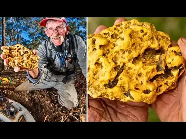 Video thumbnail for Man Found Giant Stone of Gold At Park , Only To Realize Later it's More Valuable Than Gold