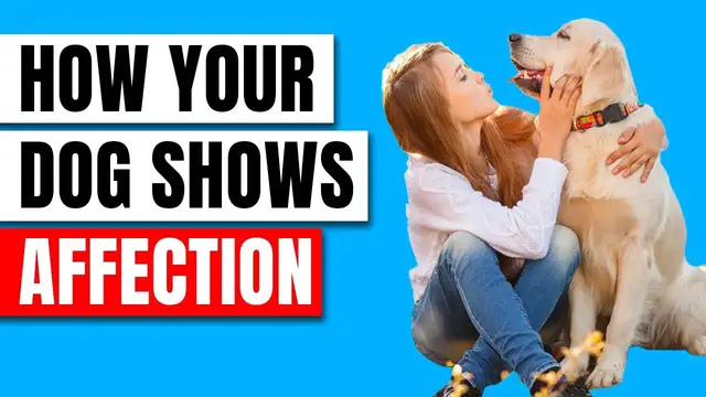 'Video thumbnail for 18 Surprising Ways Your Dog Says "I Love You"'