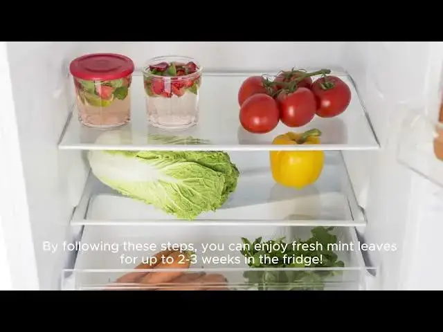 'Video thumbnail for How to Keep Mint Leaves Fresh for a Long Time in a Fridge?'