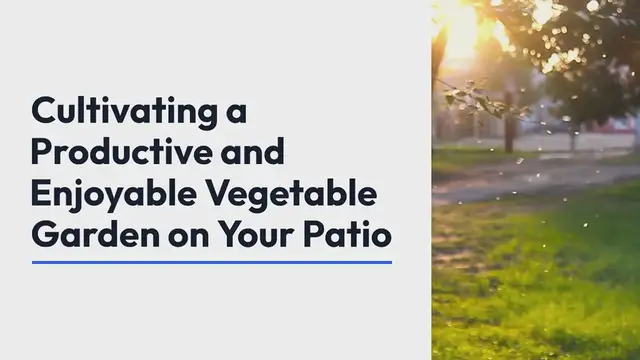 Video thumbnail for Patio vegetable gardening tips