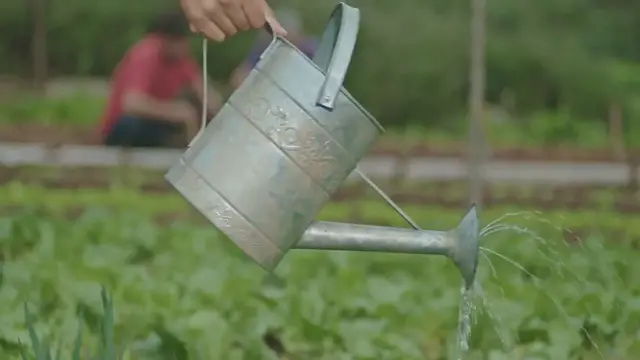 Video thumbnail for Watering tips for patio plants