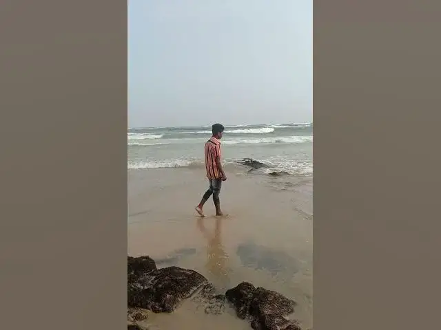 Video thumbnail for vizag Bach short video