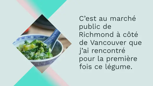 Video thumbnail for Laitue tige Celtuce (celtus), la laitue asperge ou chinoise