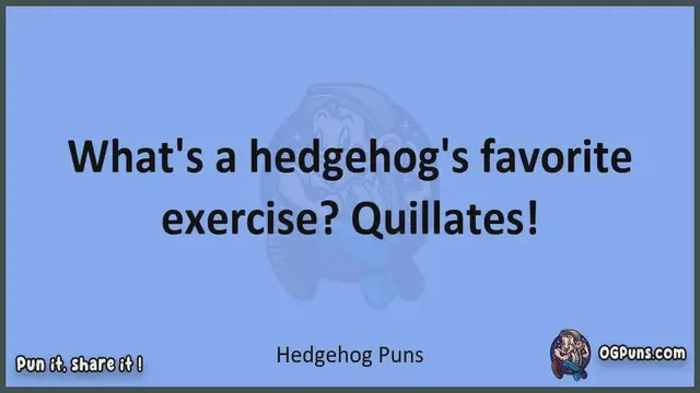 Video thumbnail for Hedgehog - Jokes, Puns, Wordplays, and Laughter
