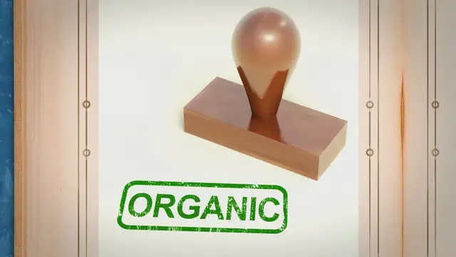 Video thumbnail for Are Food Stamps (SNAP) Getting Cut?