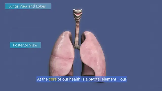 Video thumbnail for Breathe Easy:Enhance Your Lung Capacity with Simple Steps