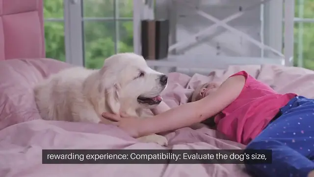 Video thumbnail for Adopting a Dog from a Rescue Things