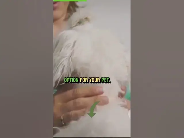 'Video thumbnail for Check Pet'