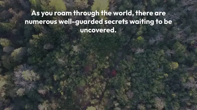 Video thumbnail for Stray Cat Game Hidden Secrets