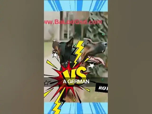 Video thumbnail for BalooGsd.com Blog Post