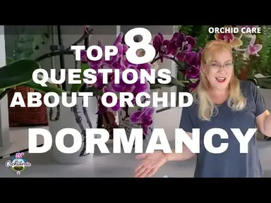 'Video thumbnail for Specific Orchid Care During Dormancy (How to Keep your Orchid Alive While In Dormancy)'